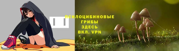 ГАЛЛЮЦИНОГЕННЫЕ ГРИБЫ Алексин