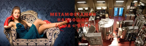 ГАЛЛЮЦИНОГЕННЫЕ ГРИБЫ Алексин