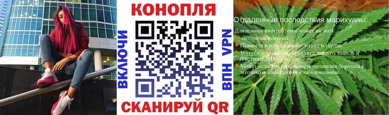 Купить закладки  Верхняя Пышма  Бошки марихуана Bruce Banner 